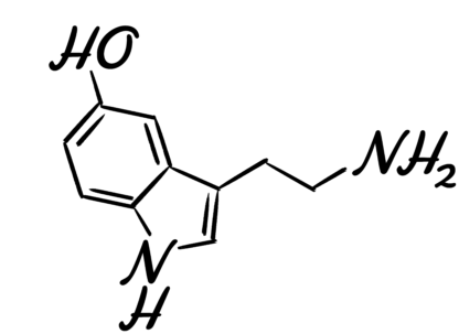 Serotonina